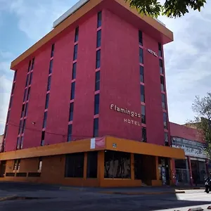 https://hotel-flamingos.guadalajarahotels.info