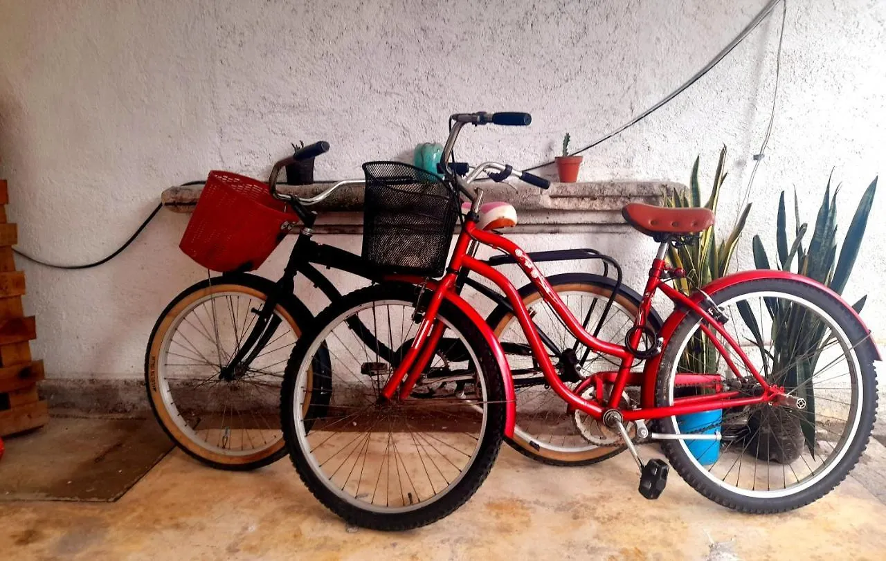 Konukevi Casa Iguana Otel Isla Mujeres Meksika